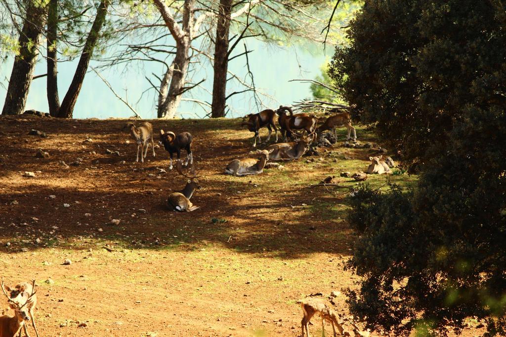 Hotel Balneario Parque de Cazorla Arroyo Frío Exterior foto